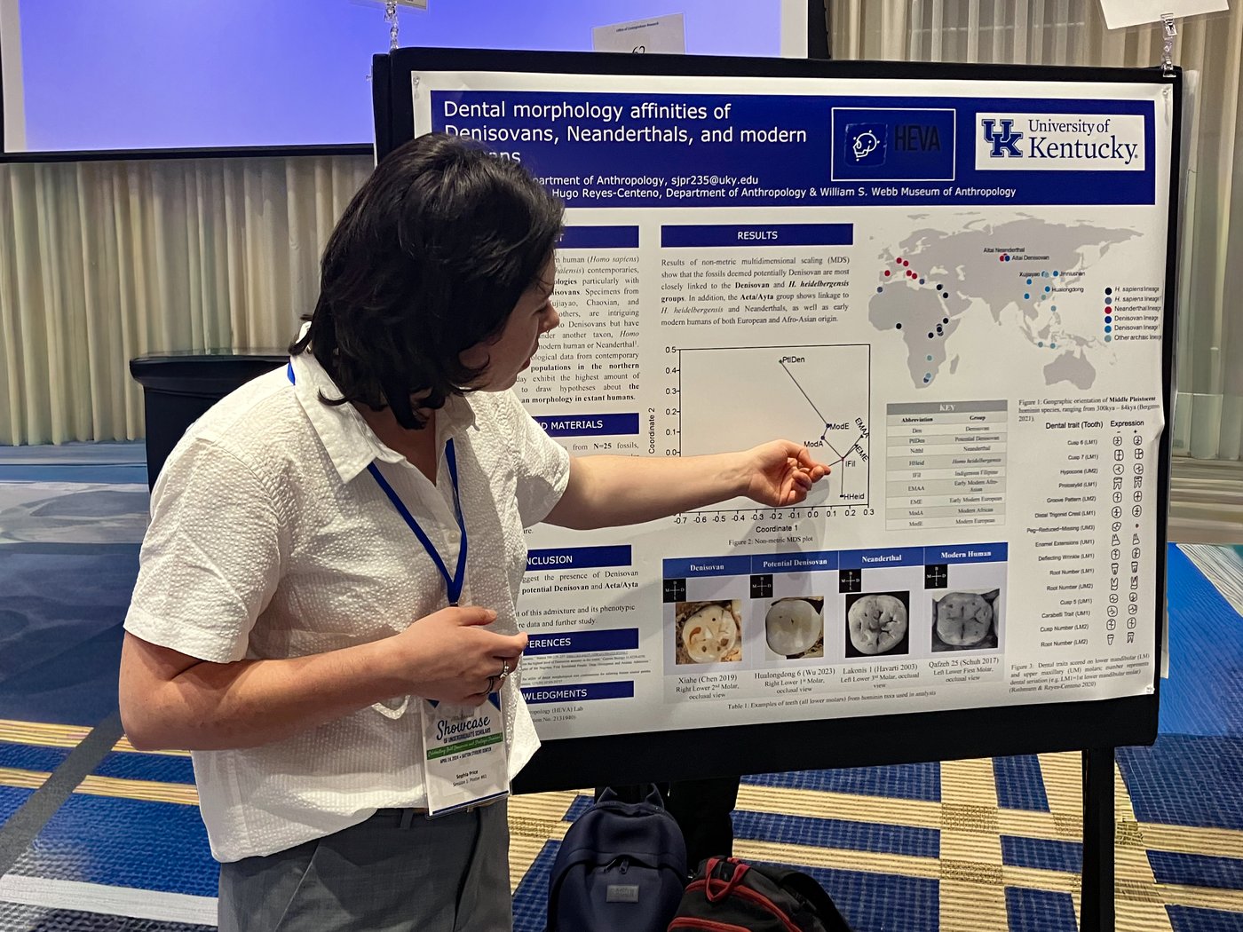 Sophia Price presenting her Denisovan dentition research poster at UK’s 2024 Showcase of Undergraduate Scholars